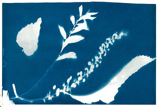 cyaan blauw lichtverf (4) .jpeg