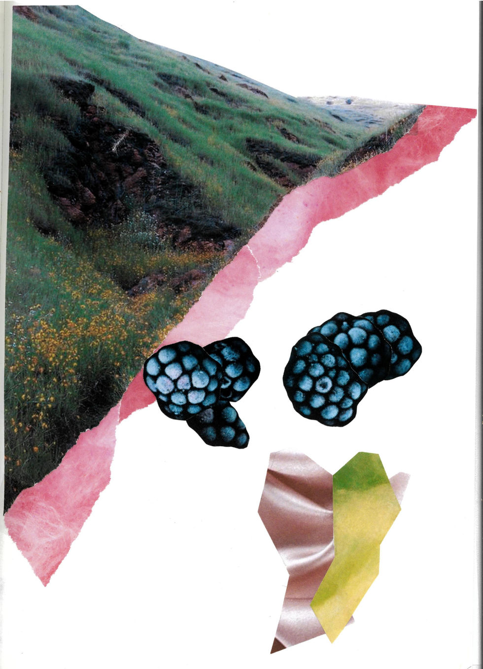 collage 1 - 02:2020