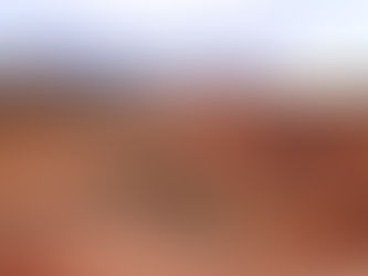 State of the Campaign Friday Post 1/30/26