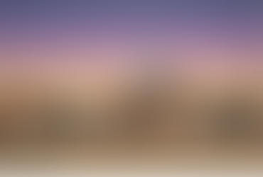 Signed and numbered prints auction