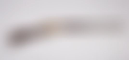 RARE henry rifle for sale