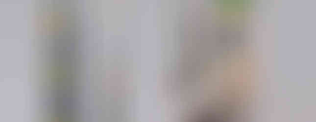 Native American Beaded Bridal and reigns