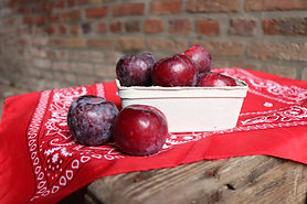 Haredale Pruimen.JPG