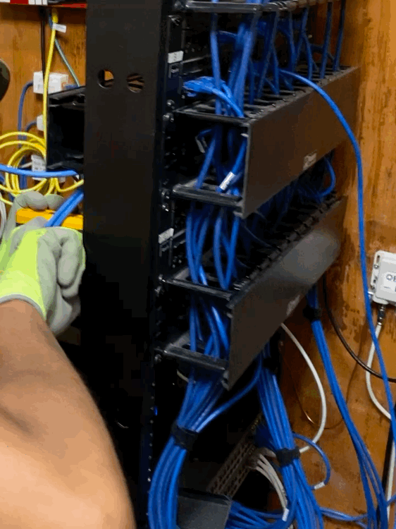 VideoToGif_GIF(1).gif