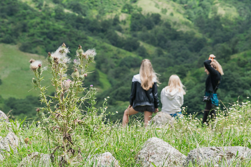 Women in a field of lush green hills. The mood is peaceful and scenic, as the women reflect during walk and talk therapy.
