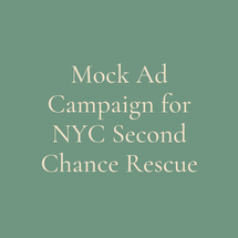 Mock Ad Campaign for NYC Second Chance Rescue