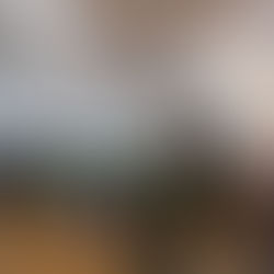 2/4 小学部 発表会合同練習