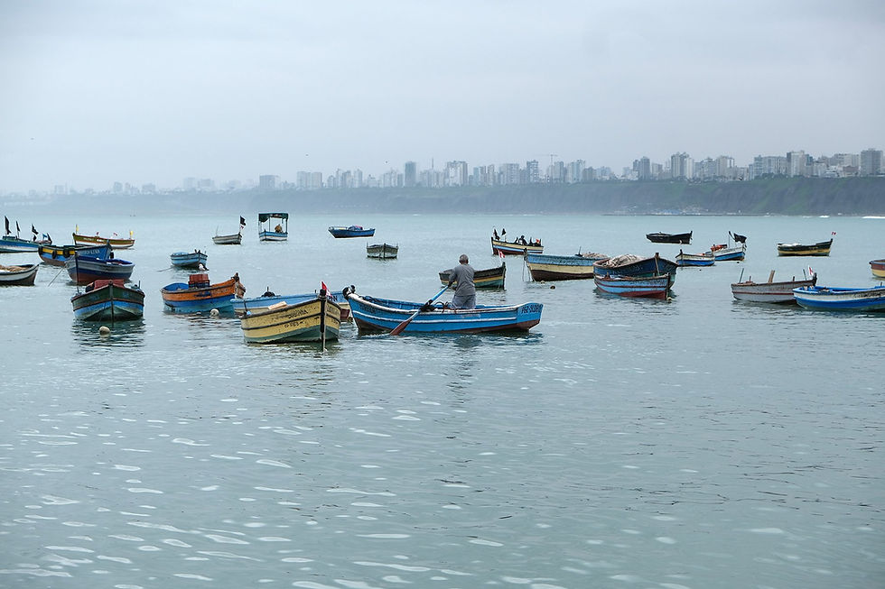 © Alternative Peru: The view of several fishing boats scattered across the sea along the Lima coast.
