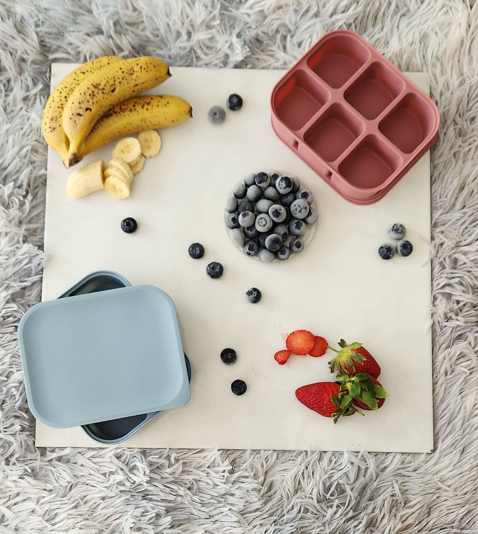 Silicone Food/Milk storage tray with lid