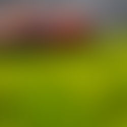 Batina Racing com nova dupla e ambições reforçadas