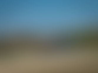 Pedro and Jorge Silva confirmed for Portimão