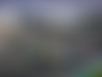 Troféu Mini chega ao seu ponto médio com a prova do Estoril