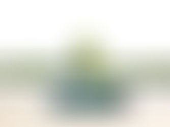 Rúben Vaquinhas e Mico Mineiro apontam ao ceptro da GT4 Am