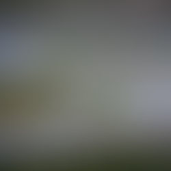 Lista de inscritos recorde para a Estoril Season Finale by NAPA