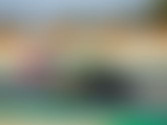 José Correia and Gabriela Correia set to return for season-finale