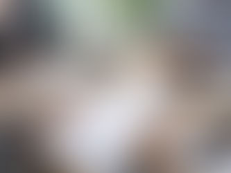 Empowering Home Buyers for a Successful Real Estate Purchase: The Importance of a Thorough Buyer Consultation