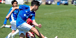 _DSC5862_edited.jpg