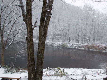 雪が積もりました