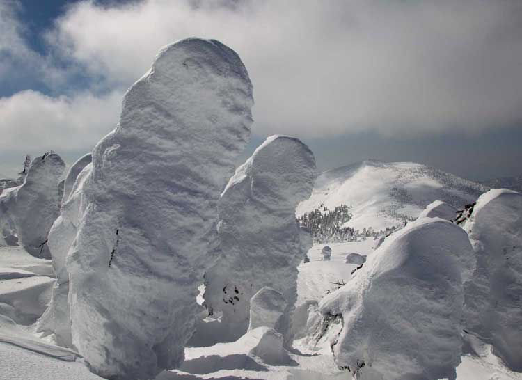 “モンスター”