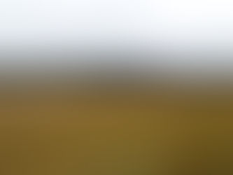 草紅葉の雄国沼