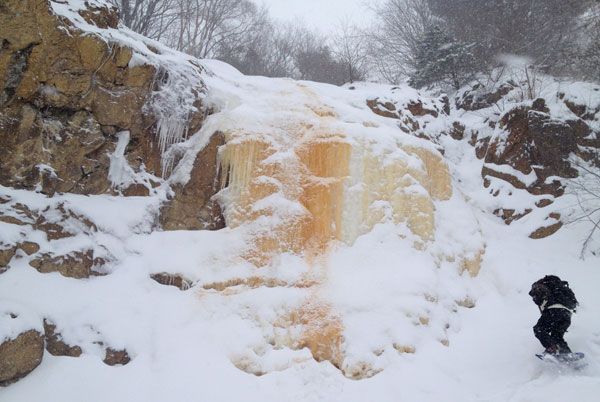 イエローフォール