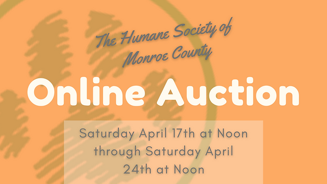 Copy of Copy of Online Auction Flier (1)