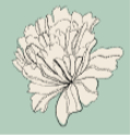 Untitled design-52_edited.png