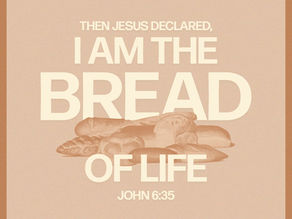 John 6:51-60 - What Did He Just Say?