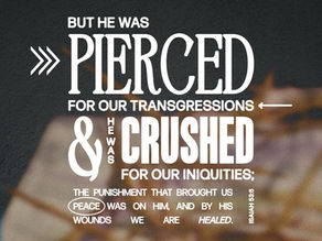 Isaiah 53:4-12 - The Savior Who Suffered For You