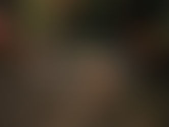 1 Chronicles 29:10-13 - Appended Doxology