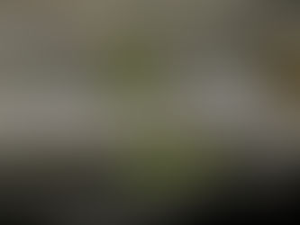 2 Samuel 12:1-13 - Mutual Submission