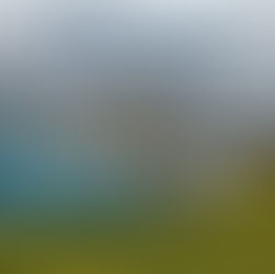 2 Kings 17 - You Are What You Worship