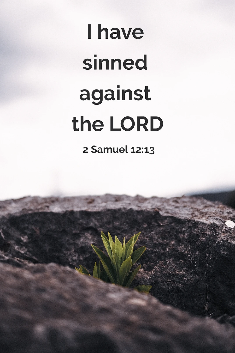 Text "I have sinned against the LORD, 2 Samuel 12:13" over a rocky background with a small green plant, creating a somber mood.