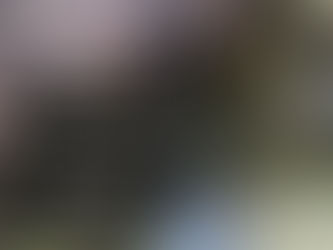 Genesis 2 - Purposeful Creation