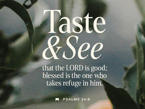 Psalm 34 - Sanity in an Insane World