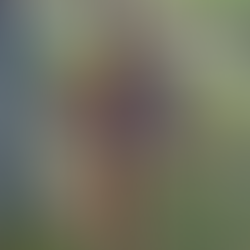 Joshua 24:14-28 - Let Go of the Stick