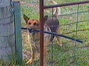 Joshua 24:14-28 - Let Go of the Stick