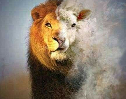 Revelation 5 Reading Guide