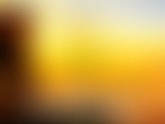 Leviticus 8 & 10 - Worship War Casualties