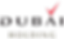 dubai-holding-holding-company-logo-dubai-removebg-preview.png