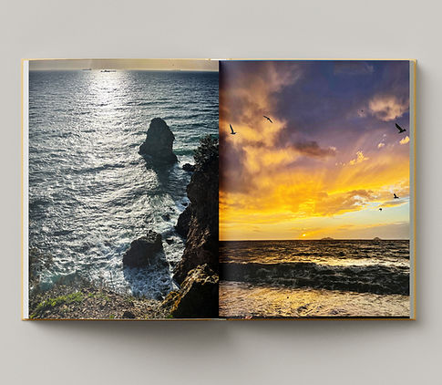Free_Book_Mockup_6_edited.jpg