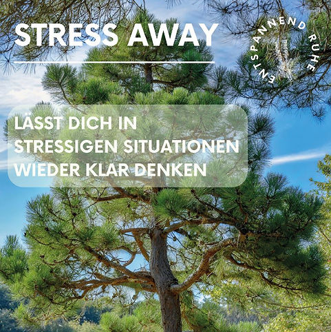 stress1.JPG
