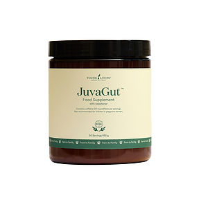 JuvaGut für die Leber