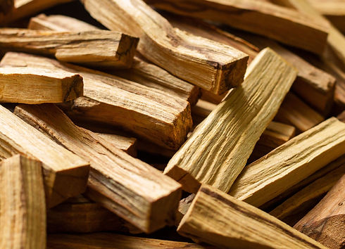 nervensystem (1)_edited.jpg