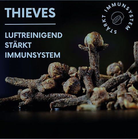 thieves1.JPG