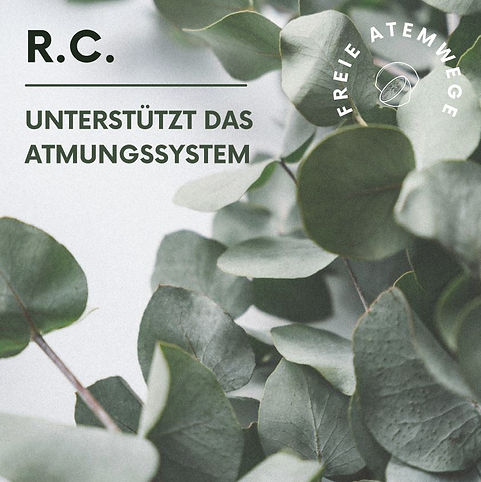 rc1.JPG
