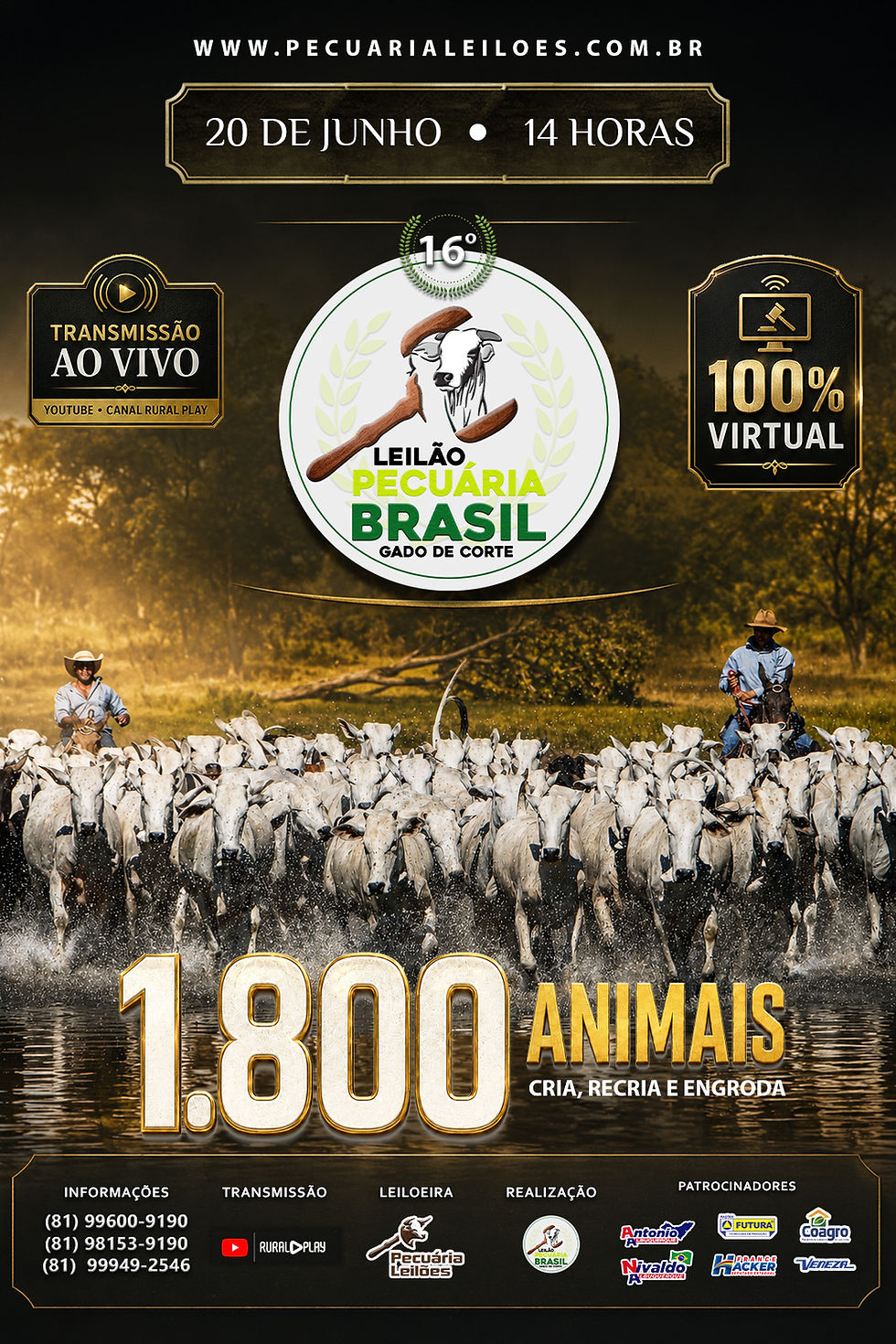 16º Leilão Pecuária Brasil
