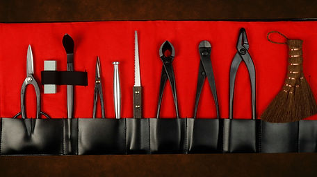 Professional Tool Kit_edited.jpg