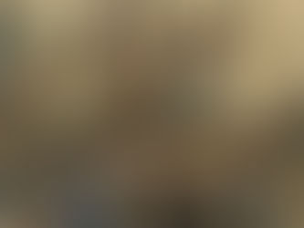 La Révolution française, article