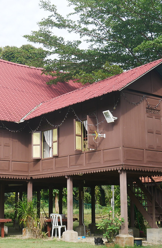 P1000862.JPG